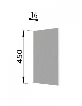 Панель торцевая (для шкафа горизонтального высокого) ВПГ Ройс (Графит софт) в Мичуринском - michurinskij.mebel54.com | фото
